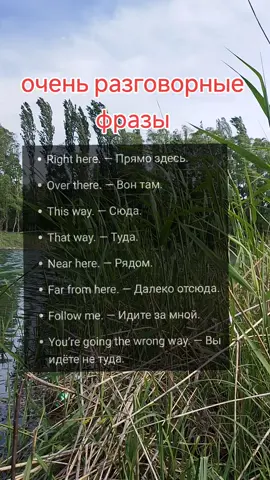 🔥 Очень разговорные короткие фразы Right here. — Прямо здесь. Over there. — Вон там. This way. — Сюда. That way. — Туда. Near here. — Рядом. Far from here. — Далеко отсюда. Follow me. — Идите за мной. You’re going the wrong way. — Вы идёте не туда. #английскийзалето #английскийдлявзрослых #репетиторпоанглийскому #английскийснуля #говорипоанглийски 
