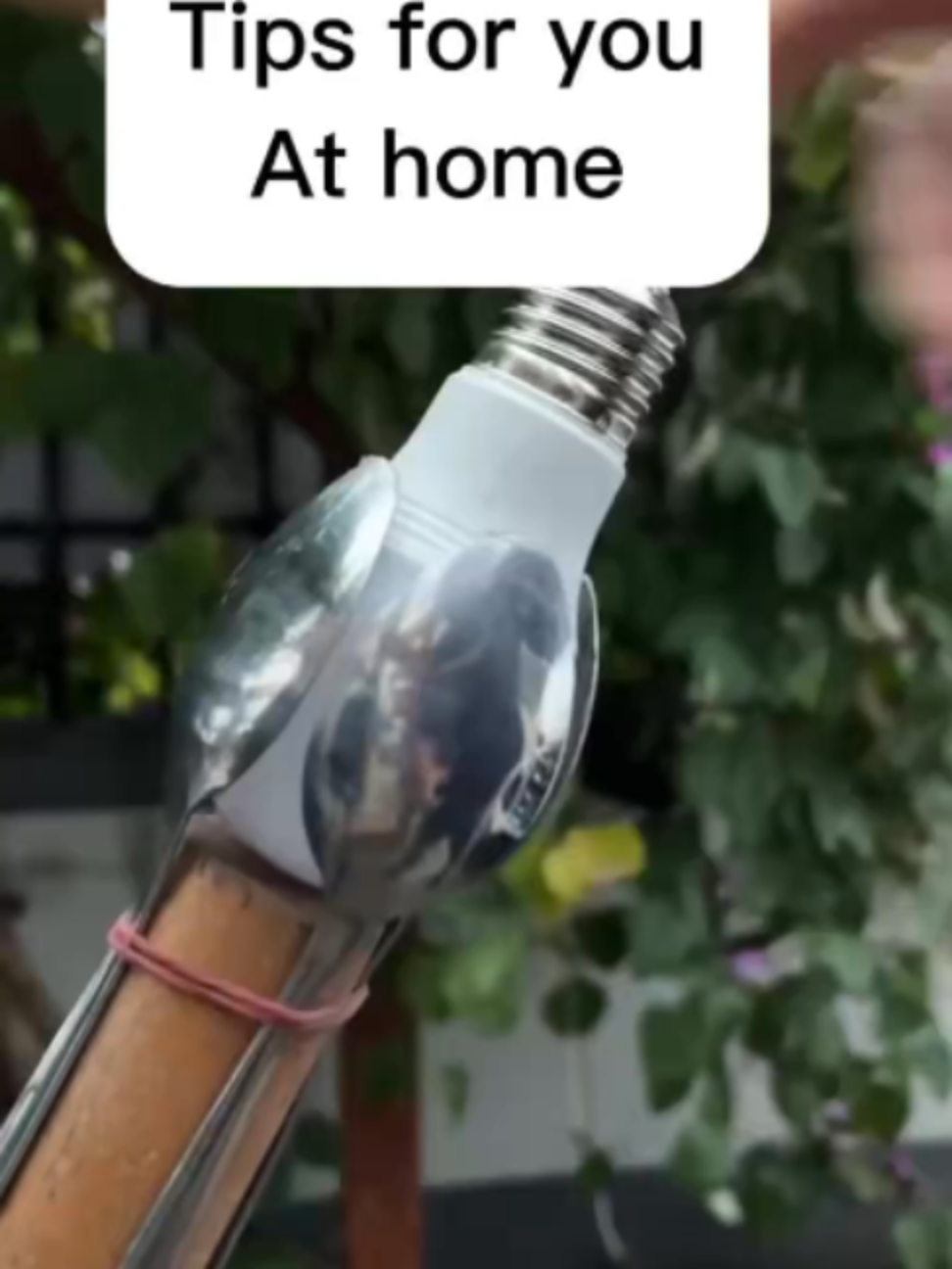 Tips at home #clean #asmrsounds #barangdapur #alatrumah #beras #rice #alatdapur #tipsandtricks #tips #caraccessories #homecooking #bersihbersihrumah #tempelankulkas #koleksi #dapurestetik #pisaupaket #multifunctional #livealone#tips #trick
