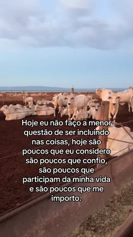 Quando você amadurece para de se importar com muita coisa. #forpage #flyingmachinesplit #foury #cowboy #fazenda 