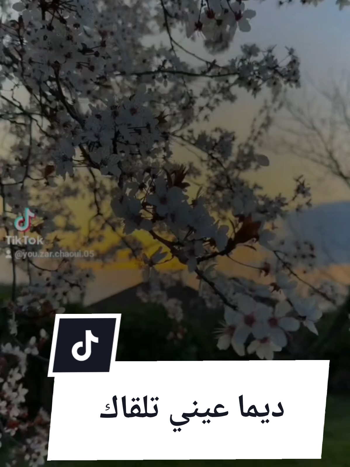 ديما عيني تلقاك ونتي لاخبر  للفنان #جلطي الراي القديم اللي نساوه نحاول نجددو مادام الخير كاين مهم هاذا مقطع برك نفكركم بيها 