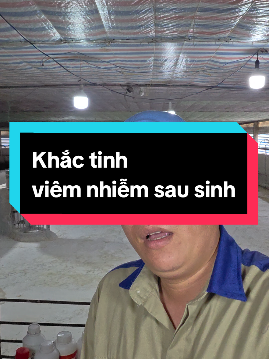 vui vẻ chia sẻ suôn sẻ heo khỏe#ngoccua1989 #navetco #thuocthuy #trending 