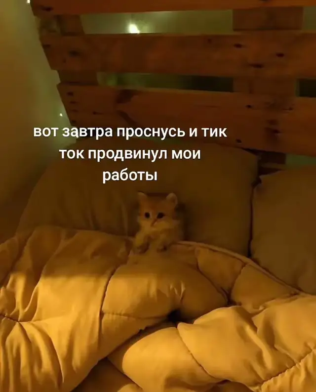 1 Бисквит классический белый, крем чиз, начинка мус чёрная смородина, конфи чёрная смородина  2 шоколадный бисквит, крем чиз, вишня ;ванильный бисквит, крем чиз, клубника  3 Торт сникерс, шоколадный бисквит, начинка солёная карамель +средне рубленый арахис, нуга+карамель, крем чиз  #торт #нижнийновгород #рекк #тортназаказ #рекомендации 