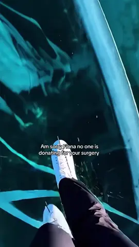 #catsoftiktok #foryoupage 