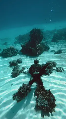 laut adalah salah satu surga dunia🩵#spearfishing #tolitolisulteng 