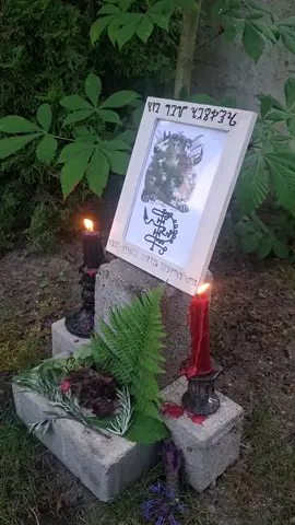 Ave Rex Asmoday👑🖤🌹 #pagan #asmodeus #witchcraft #religion #fyp 