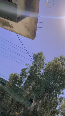 Bahi chota ❤️