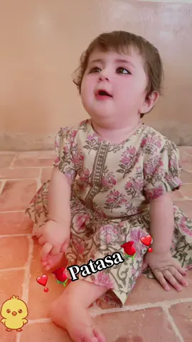 🌹Patasa🌹 #saymashallah #cute #viral #foryou @Amna.mushtaq @Cute_ghayoor 