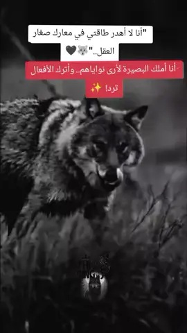 (قول وعبارات)    الذئـب المنـفـرد🐺🖤 بصيرة_#علم_النفس_#هدوء_#👑🐺حسا الصمت الانسجام صوت قول _عبارات_ قتباسات عبارات _خواطر_✍ََرادء _الَذَئبَ  كلمات تحفيز#🥀🖤🐺👑