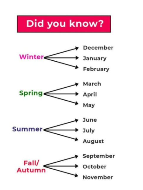 Seasons of the Year in English | Winter, Spring, Summer & Autumn Explained 🌍📅 #SeasonsOfTheYear #EnglishLearning #BasicEnglish #WinterSpringSummerAutumn #LearnEnglish #EnglishVocabulary #MonthsOfTheYear #KidsLearning #EnglishForBeginners #Education #GrammarBasics #StudyEnglish