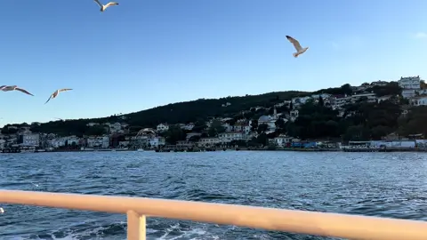 Buyuk adalar❤️ #рек #reki #любовь #istanbul 