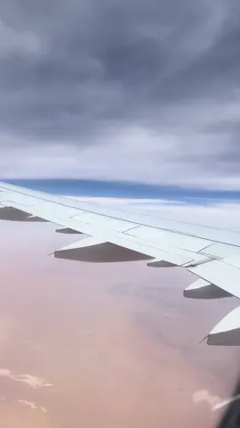 ‏#حماقي 