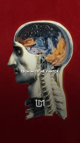 5 психологических приемов, после которых ты начнешь запоминать быстрее большинства.