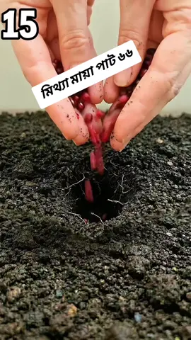 মিথ্যা মায়া পাট ৬৬ #viral #story #trending #foryou @TikTok Bangladesh @TikTok 
