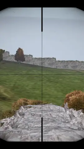 Why?#dayZ 