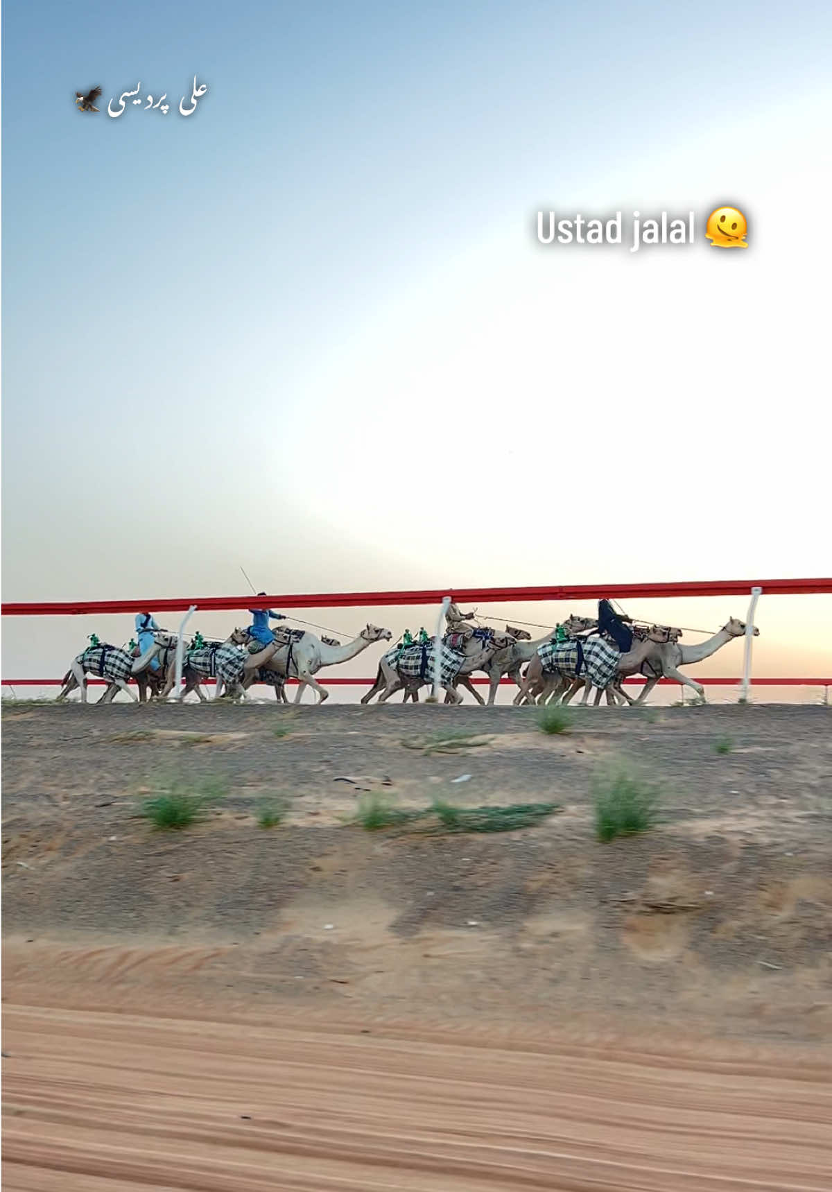 Al jabeb camel racing track #foryoupage #viralmyvideo #plzunfrezemyaccount #dontunderreviewmyvideo 