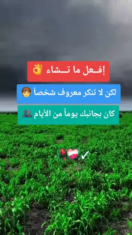#احبكم_يا_احلى_متابعين😣💗 #عبارات_جميلة_كلام_من_ذهب #عبارات_جميلة_وقويه😉🖤 #يسعدلي__اوقاتڪۘم_حبايبي♥️🕊🙋‍♀️ #راحة_البال_وهدوء_النفس🥀🖤 