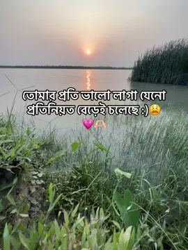 তোমার প্রতি ভালো লাগা যেনো প্রতিনিয়ত বেড়েই চলেছে @🧸~• 𝐸𝓂𝑜𝓃 🕷️🕸️ #trending #tiktok #kxemon2 #caption #fyp 