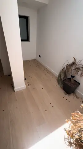Que horror !!!!!!  Esta villa está en el sur de Gran Canaria. Cuidado si piensan alquilarla !!!!  Click&Guest - Jungle House in Maspalomas 📍Montserrat Caballé, 53, Maspalomas