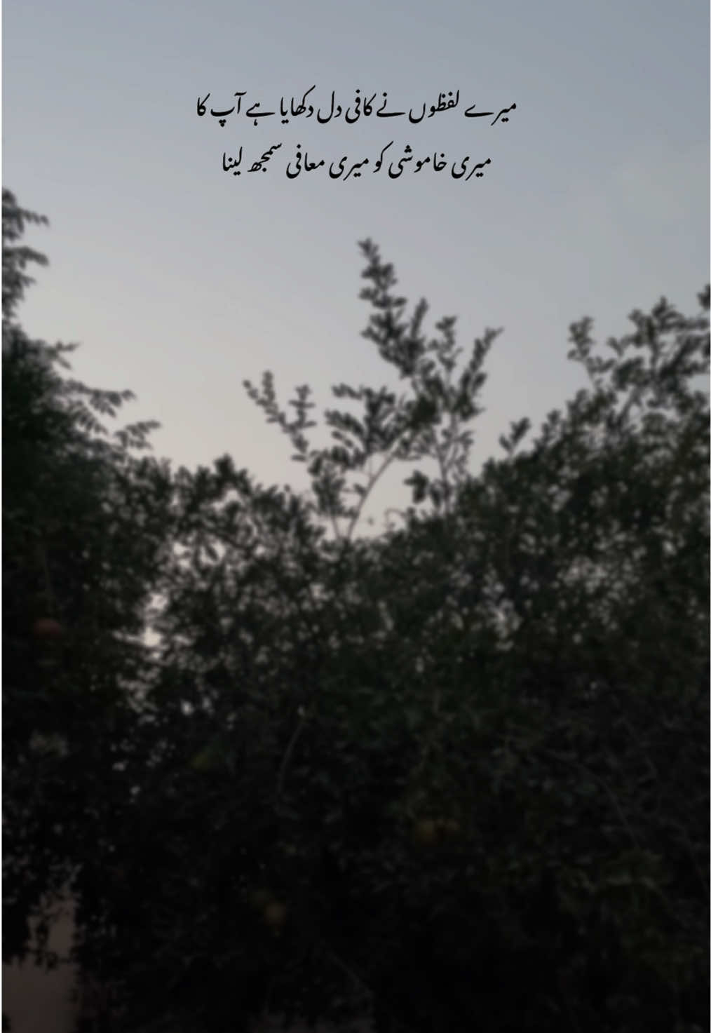 ❤️‍🩹🥹#foryou #flypシ #1millionaudition #poetry #myousaf 