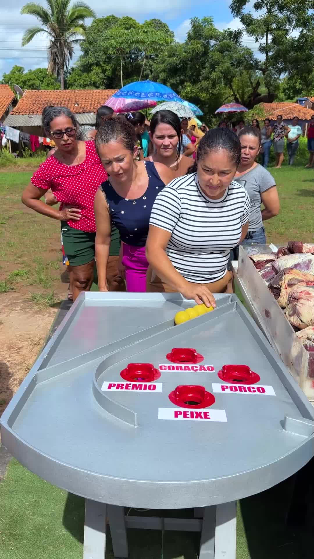 Participe e leve peixe, coração, porco ou Caixa Bob pra casa!