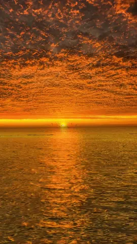 Stop scrolling. This sunset is for you. ✨ Save & follow for your daily dose of calm 🌅#sunset #fyp 