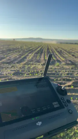 Bendecido trabajo 🙏❤️ #amoraloquehaces #dronerosmexico #amoralcampo💚🌱 #vidadecamoo🤠🍃🌄🌳 #fypシ゚viral 