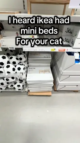 Kira had more fun under the bed but at least he’s using it 🤣 #catsoftiktok #ikea #bed #cute #fyp