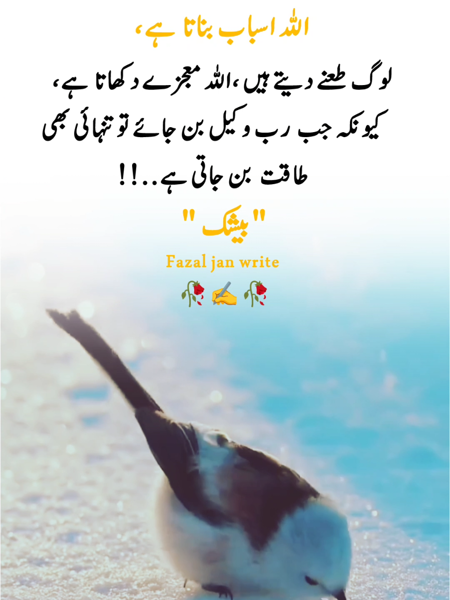 #tiktok #viralvideo #foryou #foryoupage #unfrezzmyaccount 