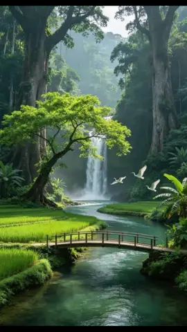 suasana dalam hutan yang damai menenangkan #menenangkan #hutan #airterjun #menujuterangfyp 