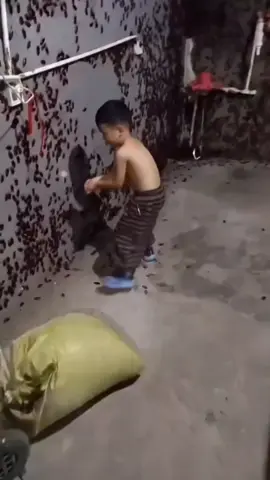Why is he playing with cockroaches like they're Hot Wheels? Kids are built different these days! 🤣🪳#wtf #WhatTheHDidIJustWatch #childhood 