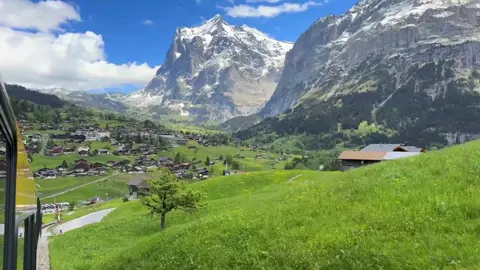 switzerland🇨🇭#141 #lowcortisol #vibe #nature #swiss 