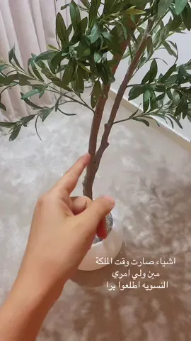 #اكسبلور #الشعب_الصيني_ماله_حل😂😂 #مالي_خلق_احط_هاشتاقات #اكسبلورexplore #فترة_الخطوبة 