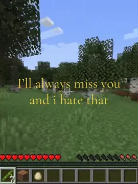 I’ll always miss you and i hate that #fyp #stretchtok #wockst★rz #xyzbca #Minecraft 