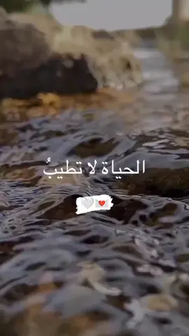 #اكسبلور #اكسبلورexplore #viraltiktok #video #مشاهير_تيك_توك 