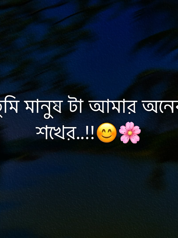 তুমি মানুষ টা আমার অনেক শখের..!!😊🌸 #fyp #trending #bdtiktokofficial #_your_lafi_ @TikTok 