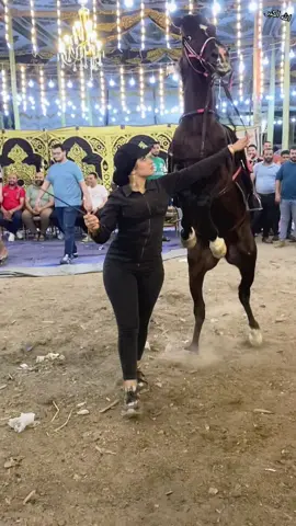 @آمير سلطان #الكابتن🔥🦅عبير #خيل_وخياله🐎🖤ماشاءالله_اللهم_بارك🧿♥️ #الشعب_الصيني_ماله_حل😂😂 #بسم_الله_الرحمن_الرحيم 