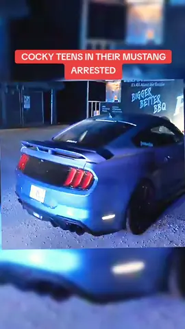 COCKY TEENS IN THEIR MUSTANG ARRESTED #policeofficer #police 