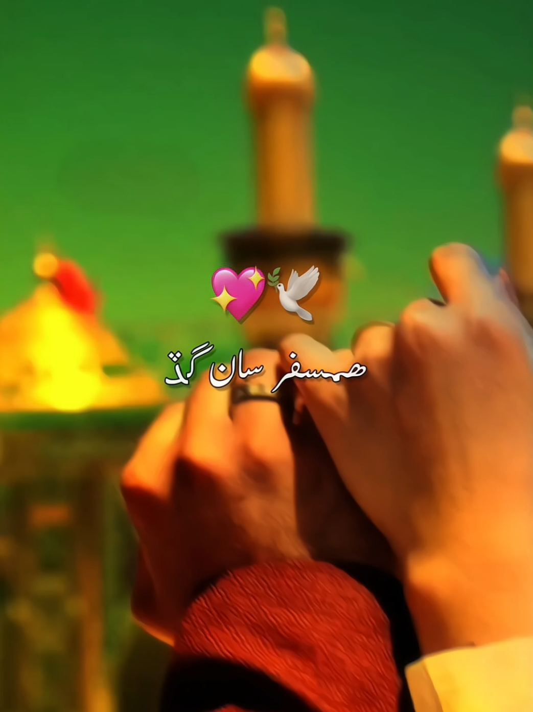 #hussainihumsafar❤️🌸 #dontunderviewmyvideos🥀 #unfreezemyaccount #grwomyaccont #foryou 