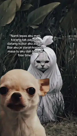 Biar aku je k ziarah korang. #fyp #foryoupagе #ziarah #fypシ 