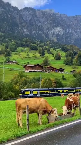 beautiful view Switzerland🇨🇭