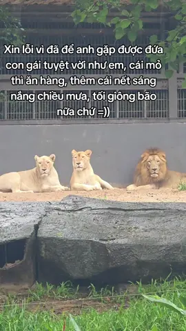 Hè đến rùi hãy đến VinWonders chơi và trải nghiệm tour nhốt người thả thú vinpearl safari phú quốc#GreenCreator #dulich# Vinpearlsafariphuquoc#tournhotnguoithathu#s59fa3c 