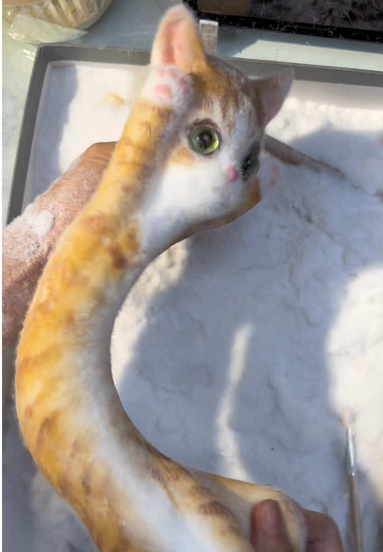 This is an eel cat.#squishy #cute #DIY #handmade #custom 