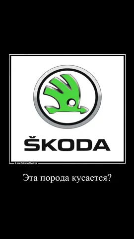не поеду в китай тгк prorabshina #шкода #дпс #гибдд #progasi #jambo 