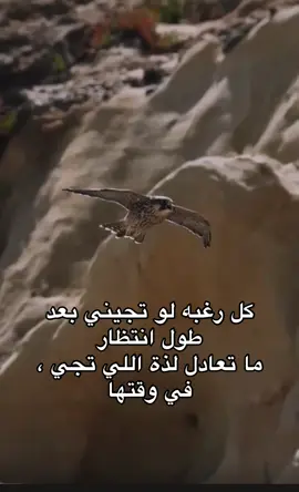 #شعر_شعبي_عراقي #ذوقي_للناس_الرايقه #fypage #اكسبلورexplore 