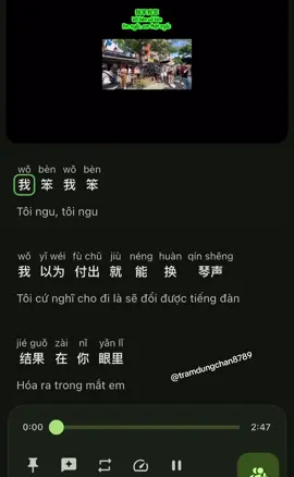 Tôi ngu tôi ngốc tôi cữ nghĩ cho đi là sẽ đổi lại được tiếng đàn…..#nhactrunghay #xuhuong #xuhuongtitok #luyennghetiengtrung #hoctiengtrung 