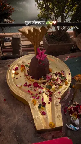 #creatorsearchinsights #mahadev #dreamplace #harharmahadevॐ #foryou 