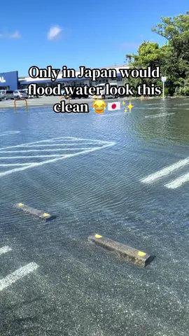 I kid you not, but this is the aftermath of Typhoon Jangmi last night! The water was so clean, I thought Trial’s parking lot had turned into a swimming pool 😂 #japan #日本 #cleanliness ✨ #typhoon #fyp 