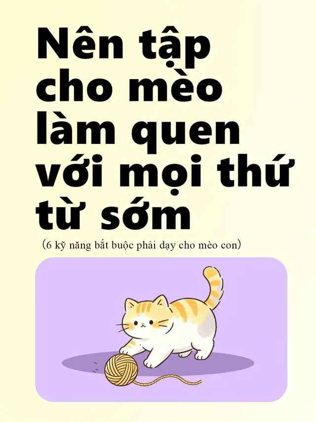 Hãy cùng Naabee học cách nuôi dạy chú mèo cưng của bạn nhaaa 💜 #whynaabee #naabeepet #naabeehouse 