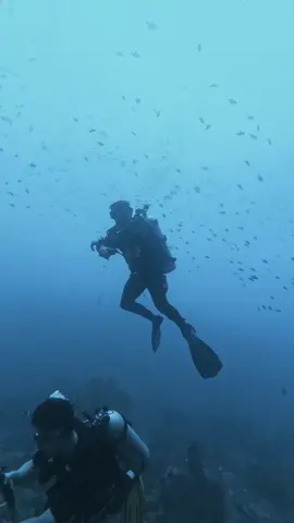 Strava trend but make it Scuba #strava #garmin #paditv #scuba #diving