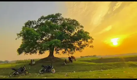 Allah 💖#islamic_video #viralvideo #foryou